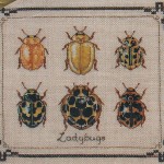 MiniLadybugs2-150x150